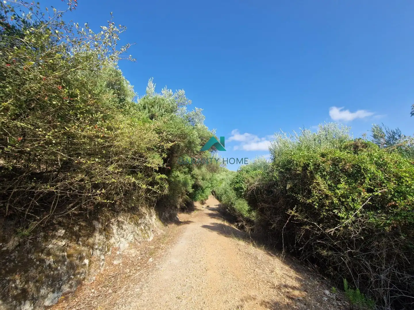 Rural land for sale in San José del Valle