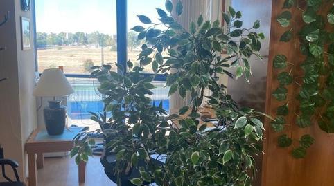 Foto 2 de Oficina en venda a  Astronomia, San Jerónimo - La Bachillera,  Sevilla Capital