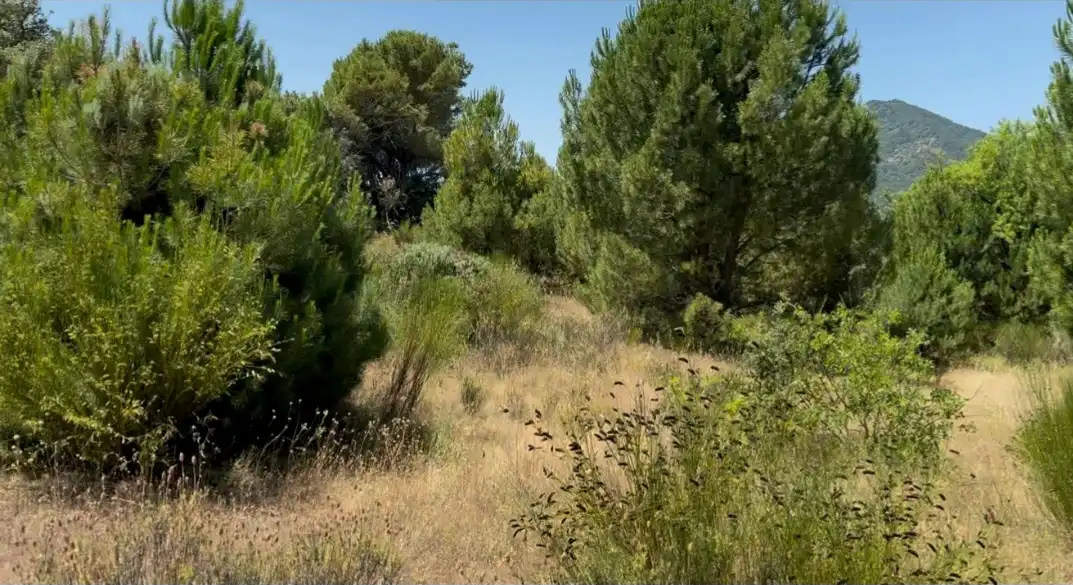 Rural land for sale in Autovía de los Pantanos 51, imagen 2