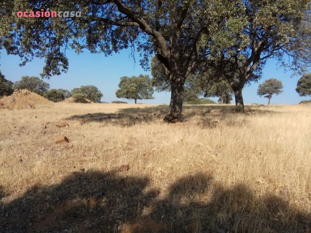 Country homes for sale in Torrecampo