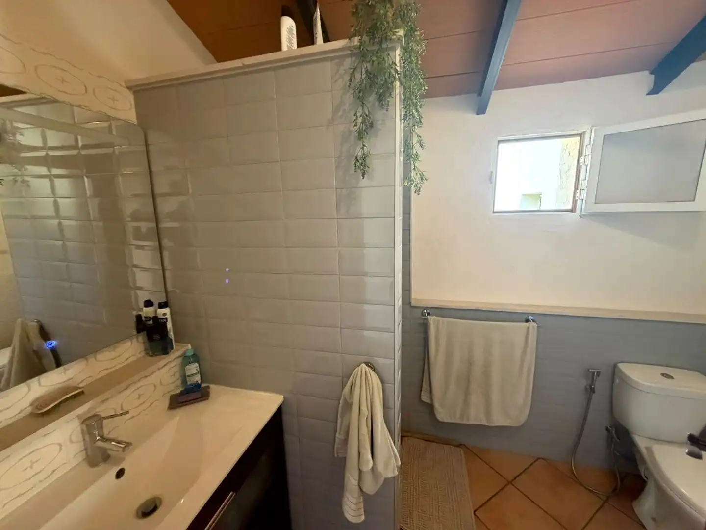 Baño de Finca rústica en venta en Aspe