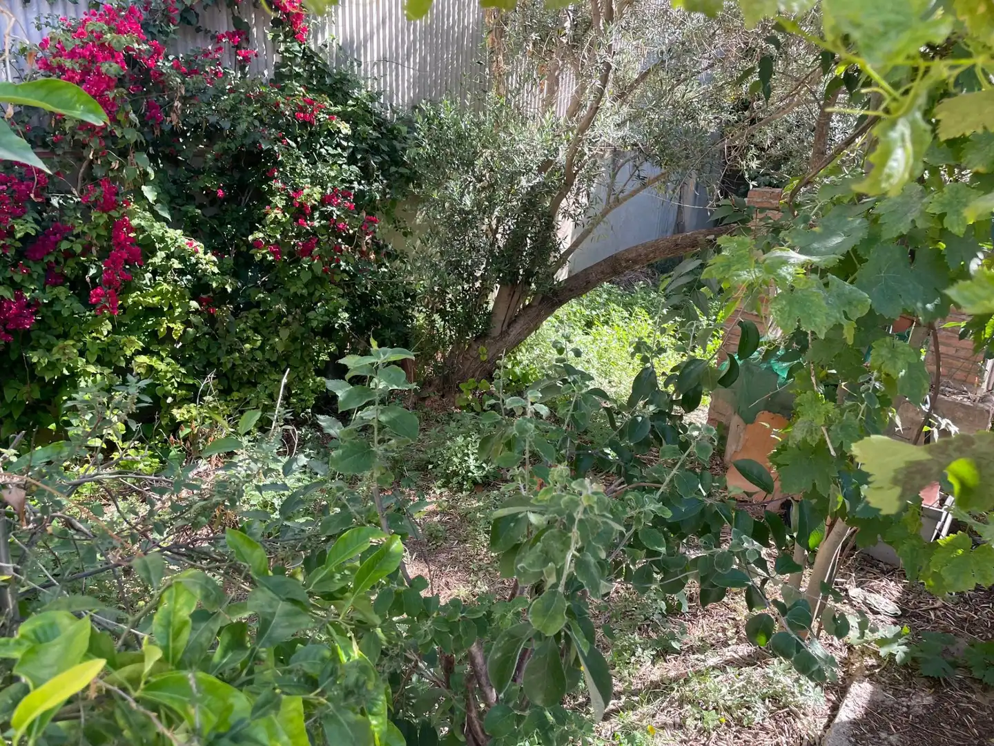 Garden of Commercial properties for sale in Viladecans