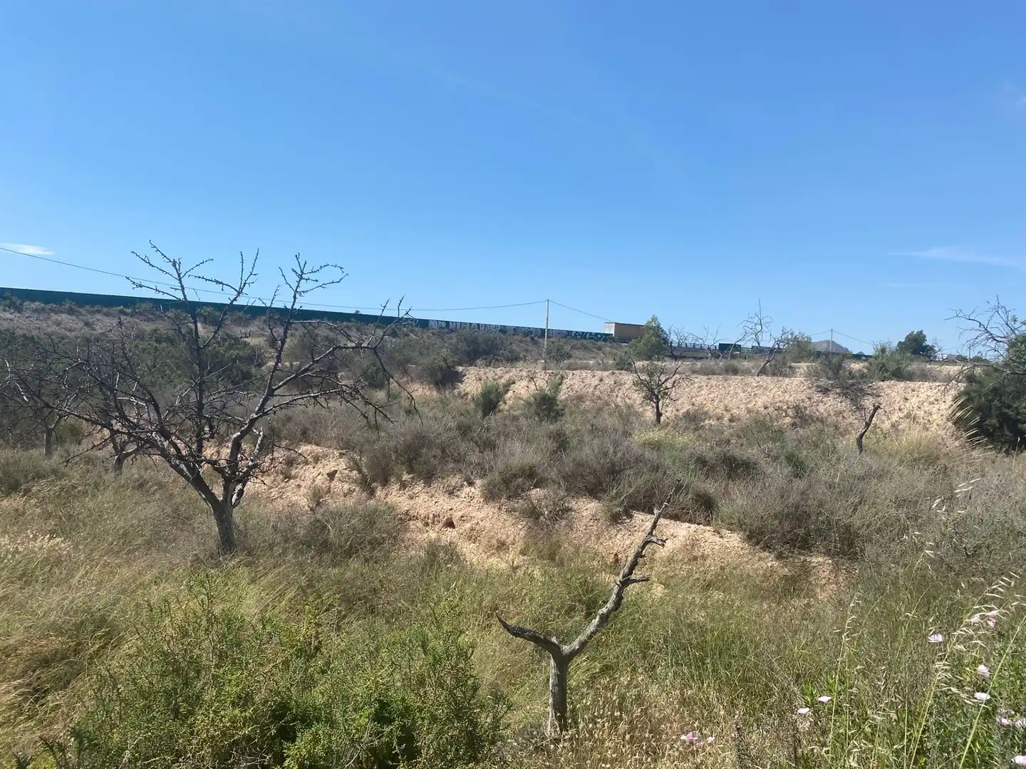 Land for sale in San Vicente del Raspeig / Sant Vicent del Raspeig