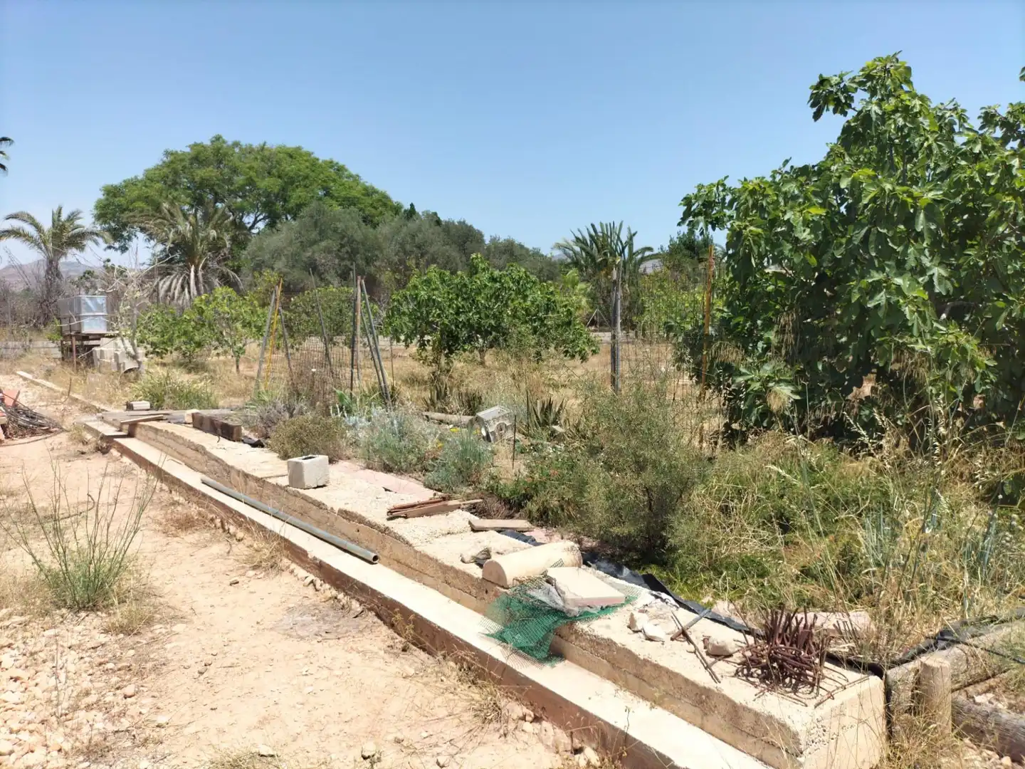 Rural land for sale in La Murada - Los Vicentes, imagen 19