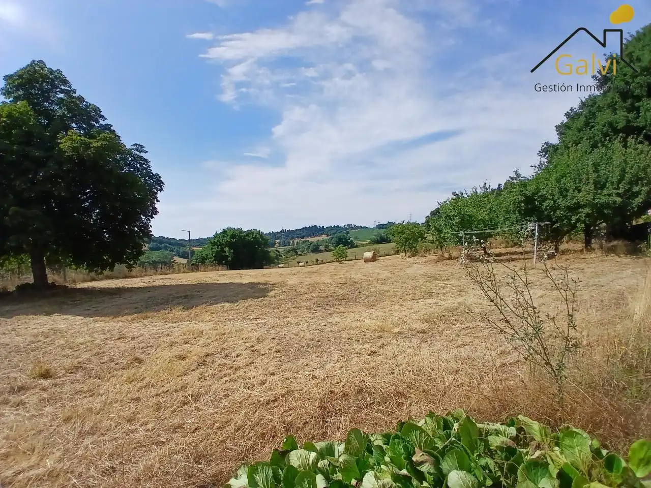 Finca rústica en venda en O Saviñao  amb Traster i Moblat
