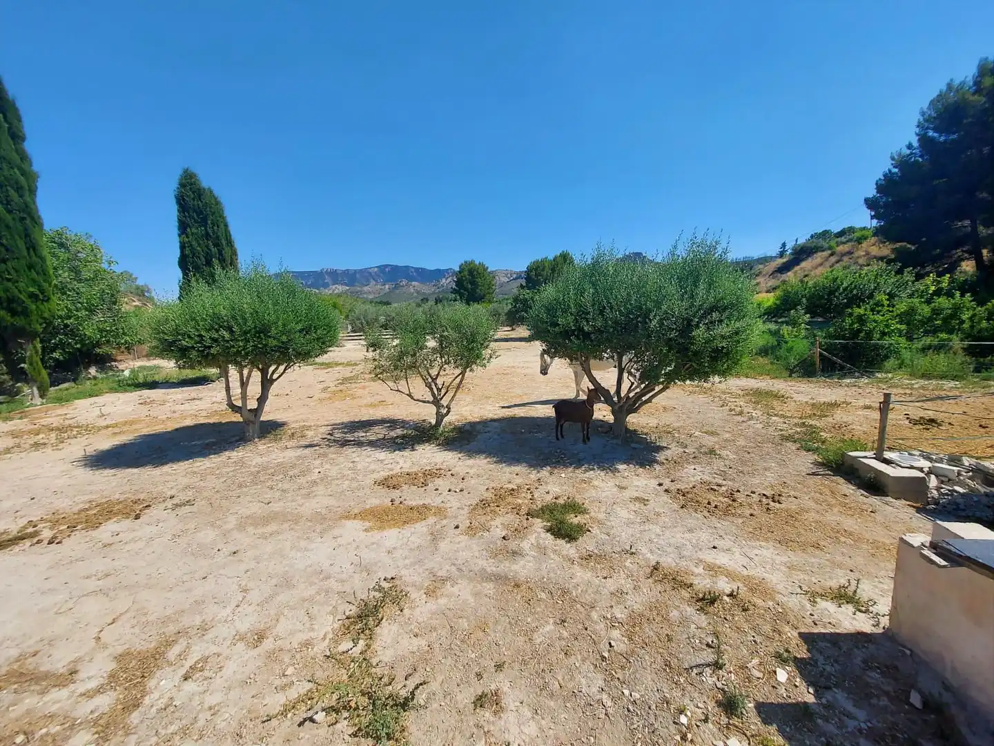 Country homes for sale in Cieza  with Private garden and Swimming Pool