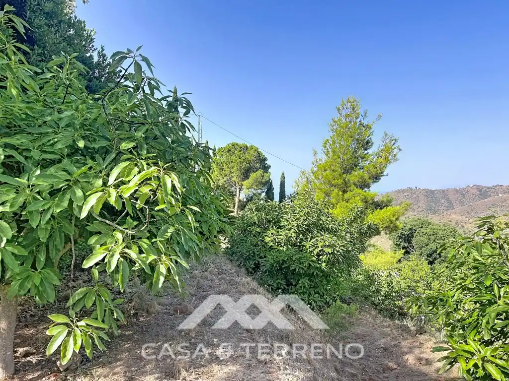Houses for sale in Diseminados Benamayor, Cómpeta