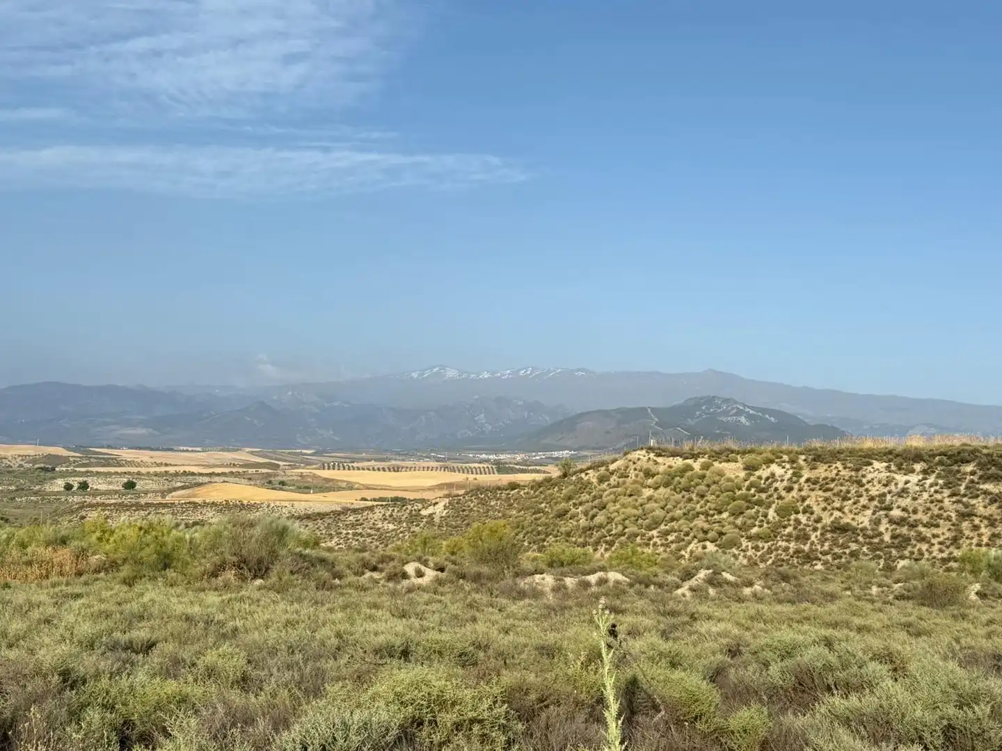 Terreny industrial en venda en Alhendín