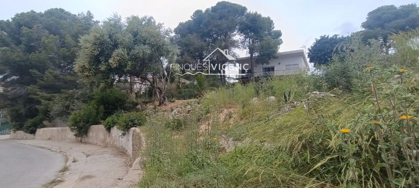 Terreno rústico en venta en SAL, imagen 4