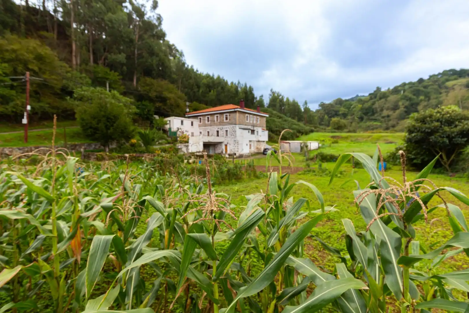 Exterior view of Houses for sale in Abanto y Ciérvana-Abanto Zierbena  with Heating