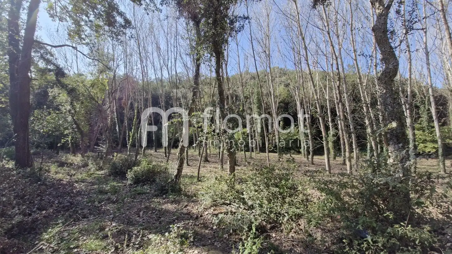 Casa con piscina in vendita a Camí de Santa Bàrbara 1, imagen 27