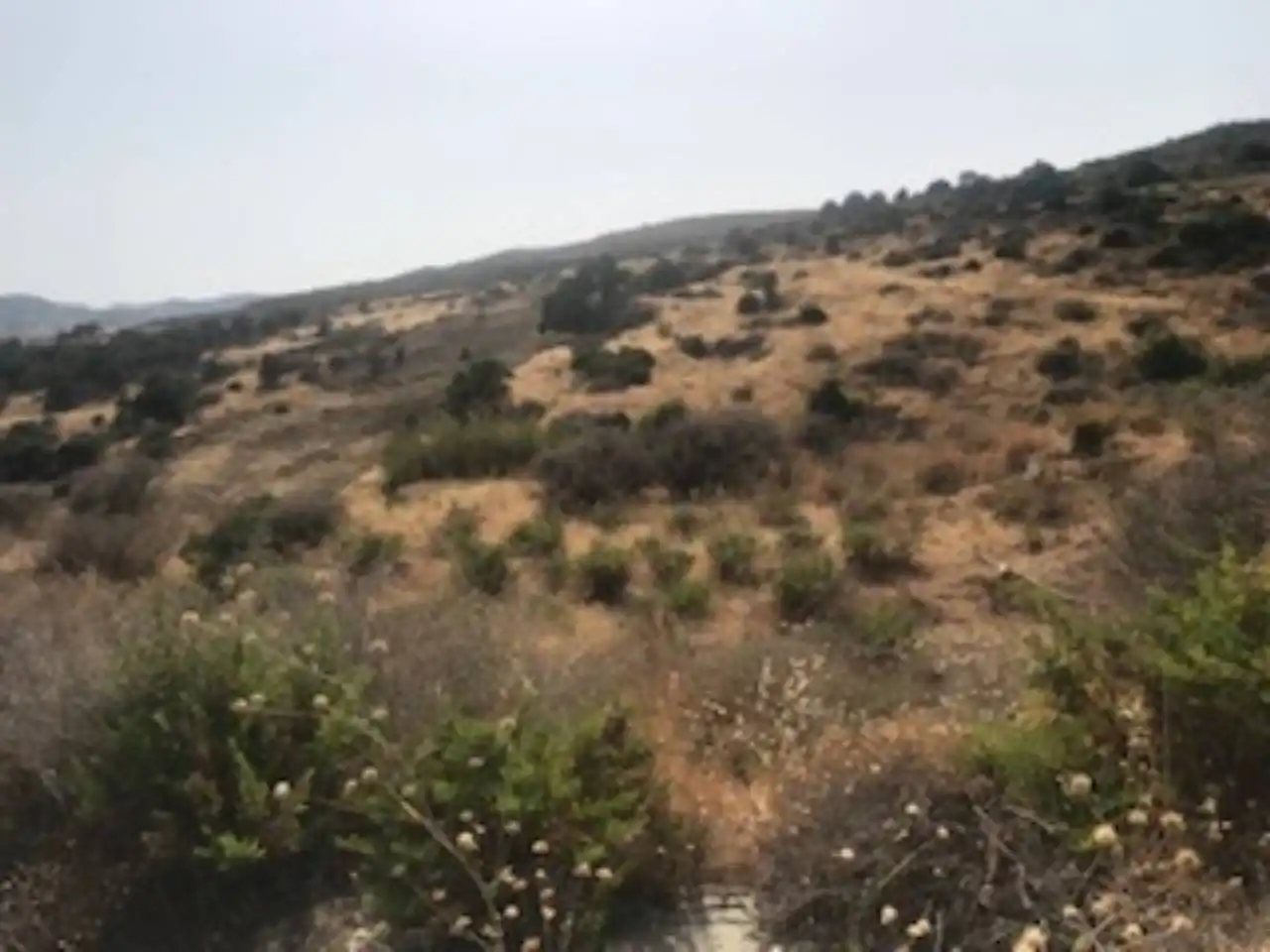 Industrial land for sale in Estepona
