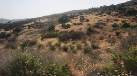 Foto 4 de Terreny industrial en venda a Los Pedregales, 213, Altos de Estepona, Málaga