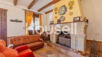 Sala d'estar de Casa o xalet en venda en Almonte amb Terrassa