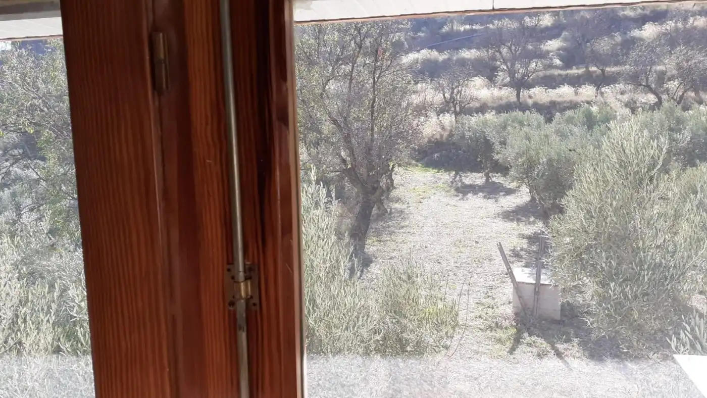Jardí de Finca rústica en venda en Bayarque amb Traster
