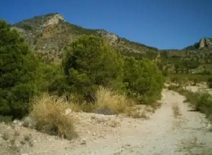 Grundstücke zum Verkauf in Paraje Culebrirna, Culebrina