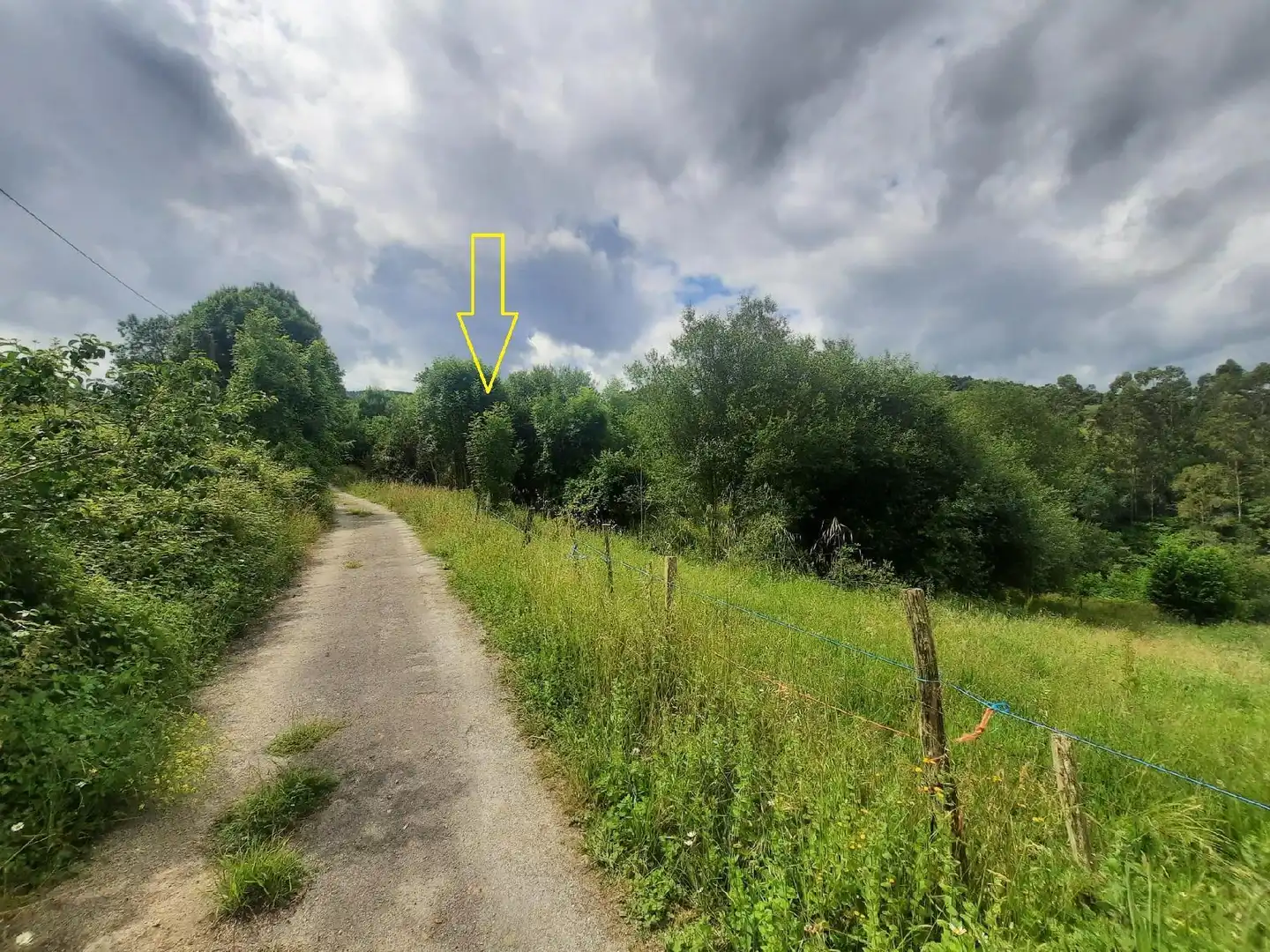 Rural land for sale in Ampuero, imagen 2