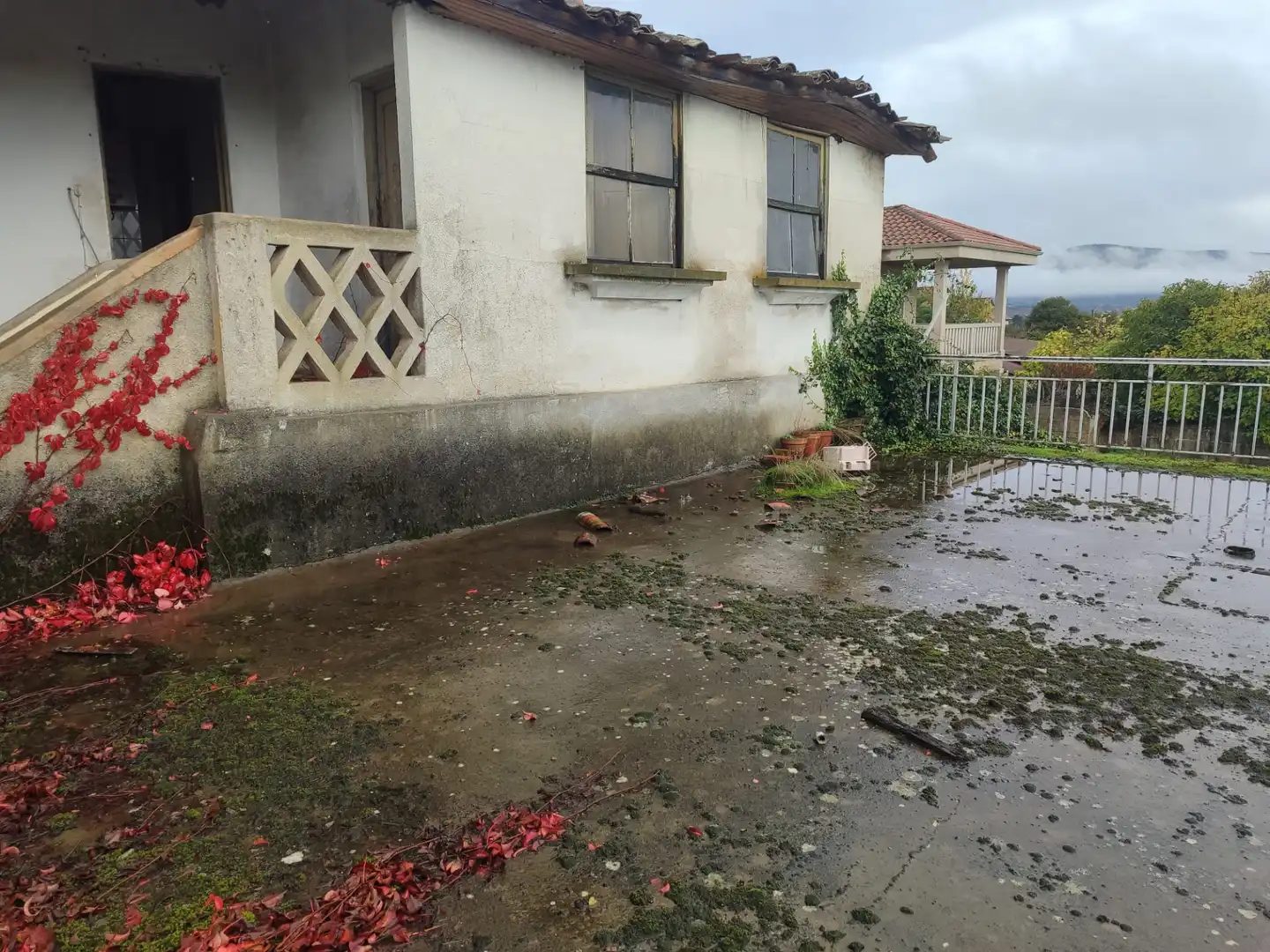 Außenansicht von Country house zum Verkauf in Oímbra mit Privatgarten und Terrasse