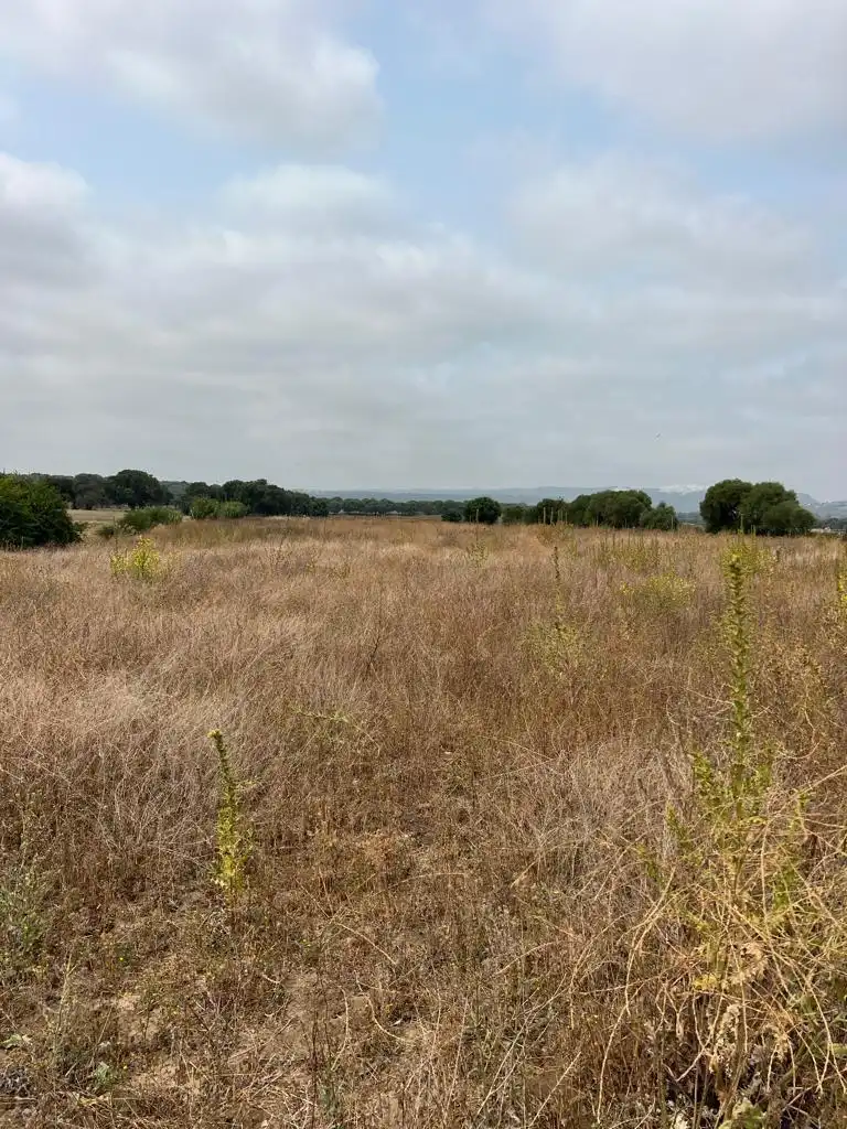 Terreno residencial en venta en Vejer, imagen 4