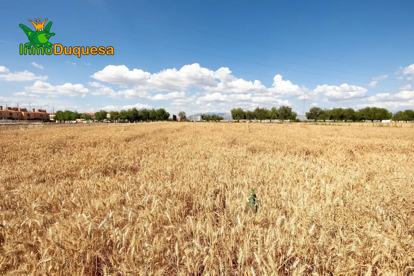 Finca rústica en venda en Las Gabias