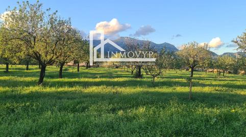 Photo 2 of Country homes for sale in Es Blanquer, Inca