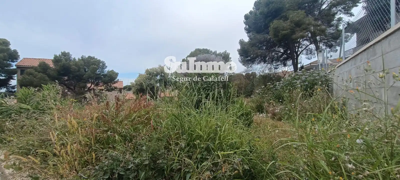 Rural land for sale in SAL, imagen 3