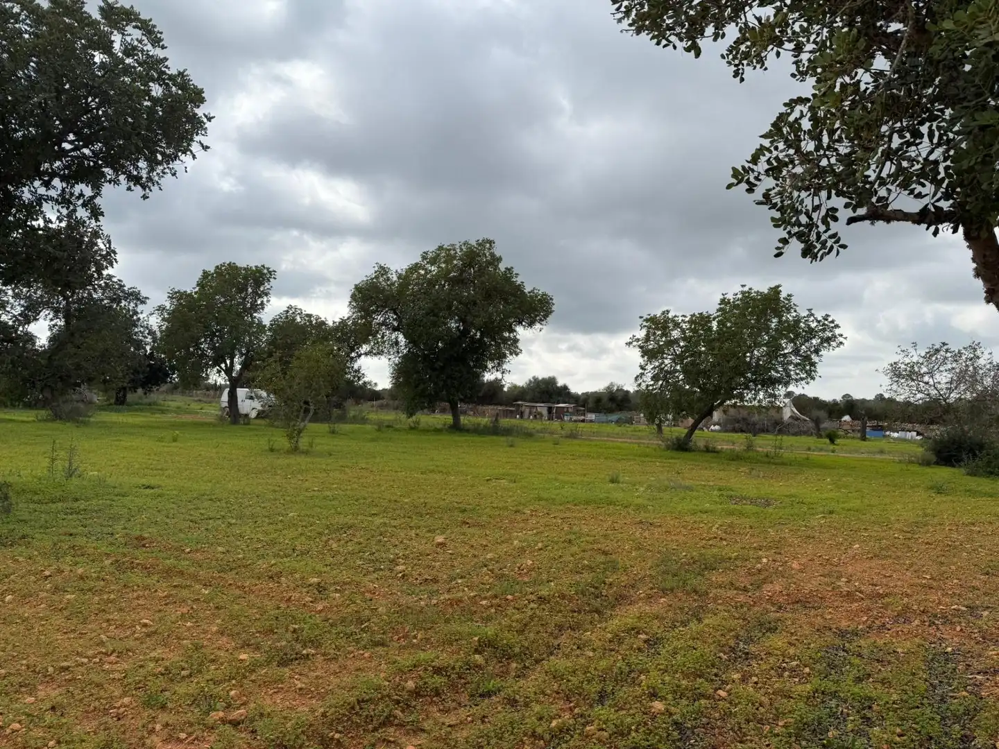 Terreno rustico in vendita a Llucmajor pueblo, imagen 2