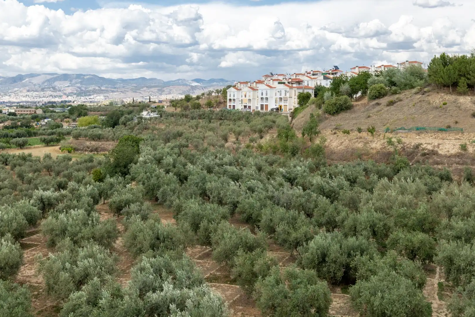 Terreno rustico in vendita a Calle POL 1, PARC 176, imagen 2