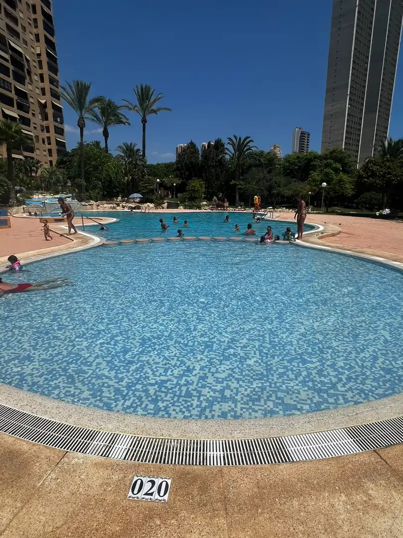 Piscina de Apartament en venda en Benidorm amb Aire condicionat, Calefacció i Jardí privat