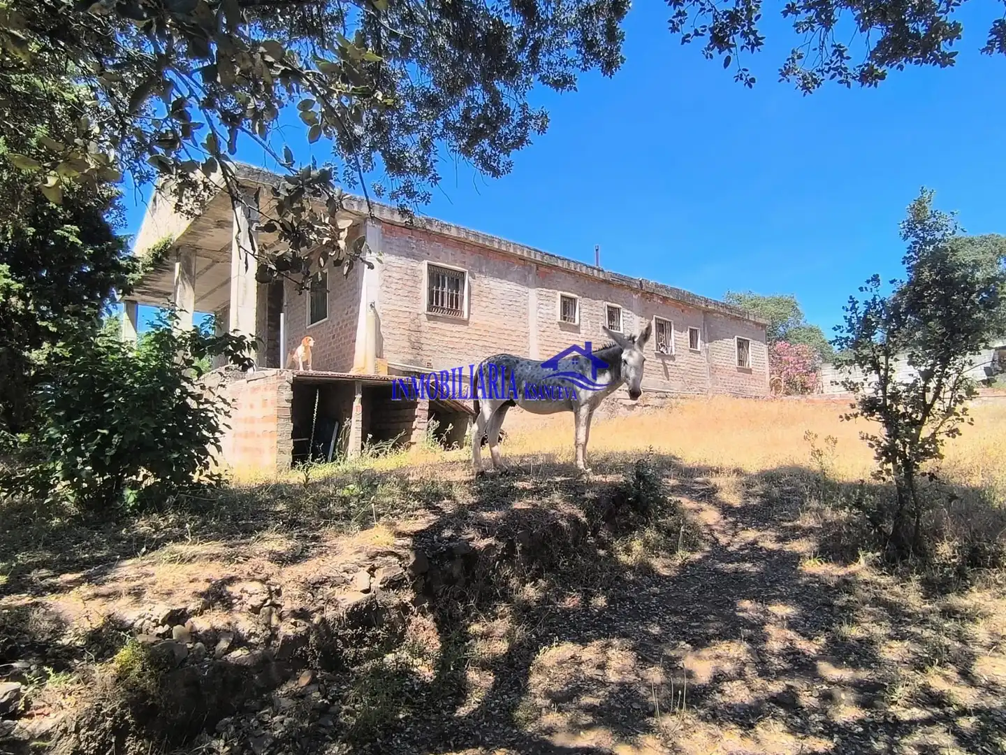 Exterior view of Houses for sale in Obejo