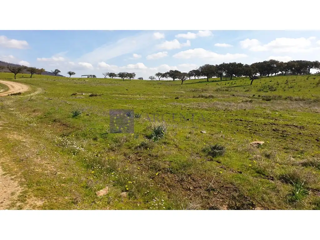 Maison à vendre à Aliseda, imagen 11