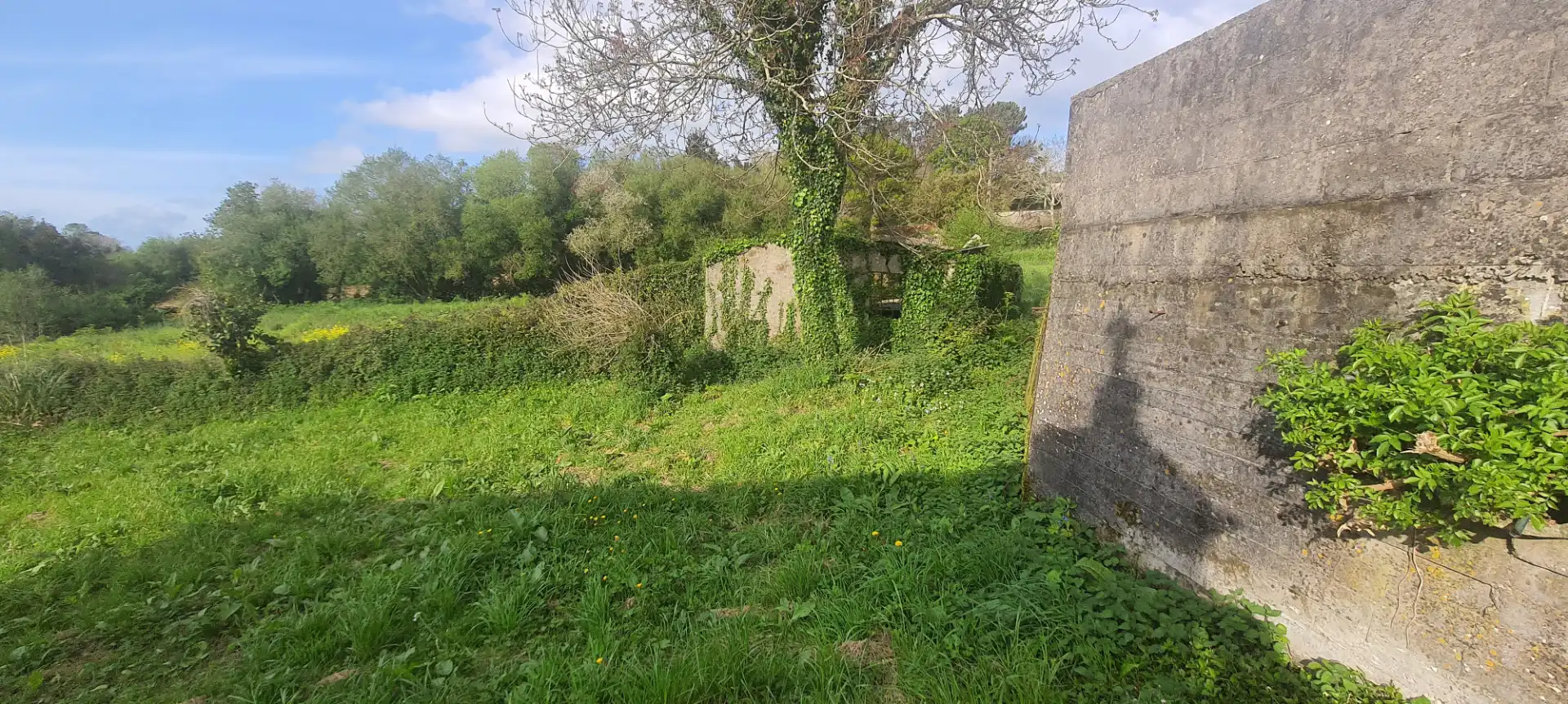 Finca rústica en venda en Carballo