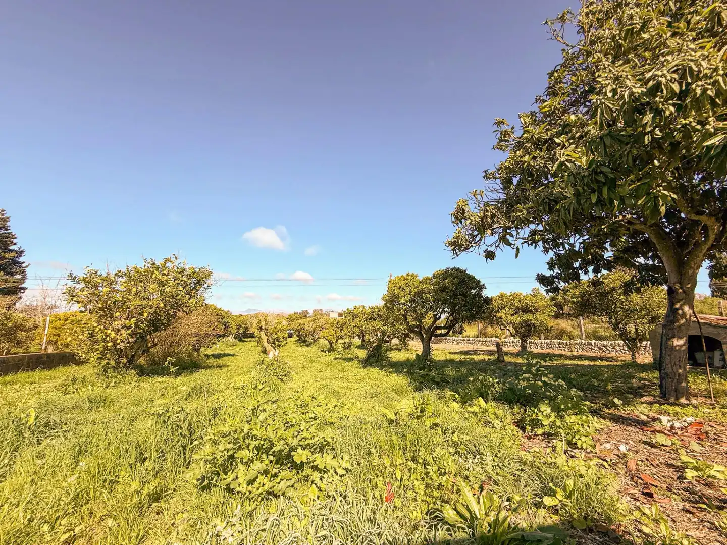 Finca rústica en venta en Costitx con Jardín privado y Terraza
