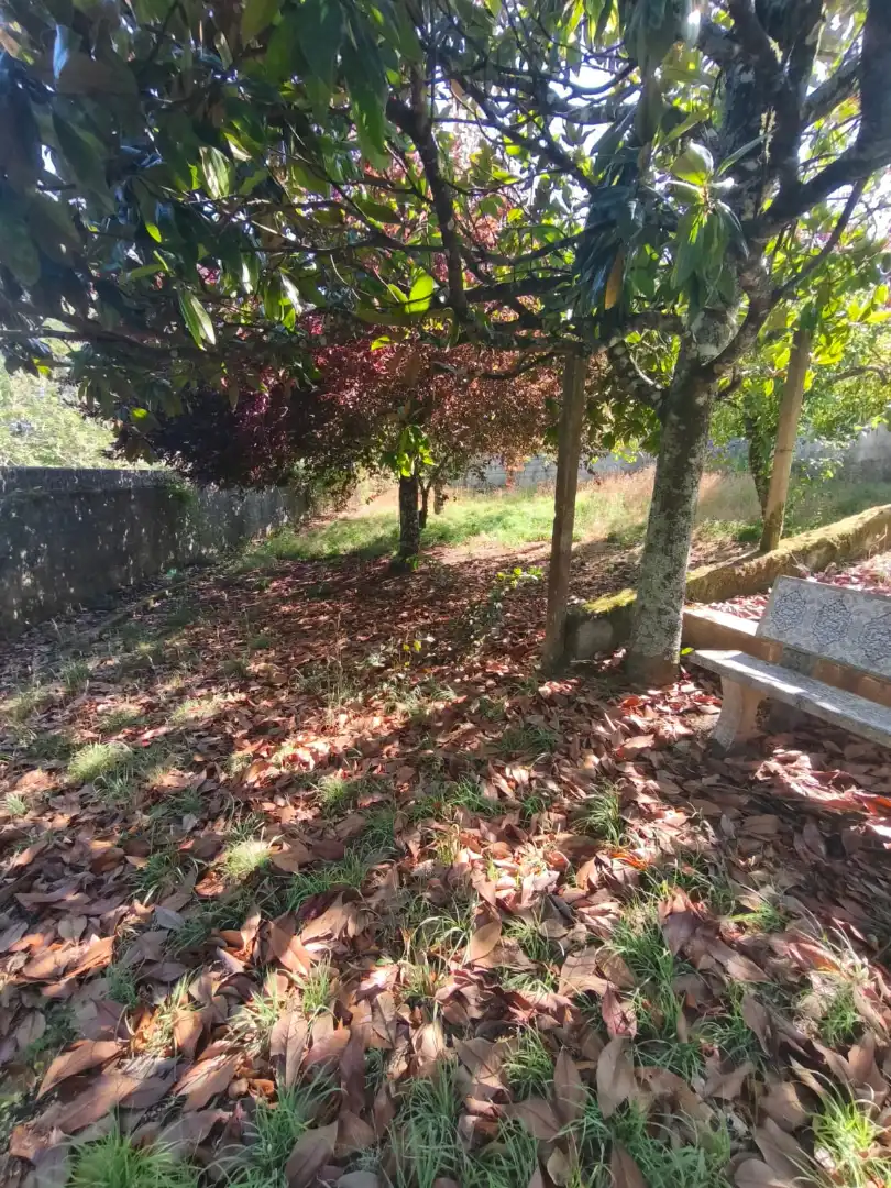 Houses for sale in Vilamarín  with Private garden, Furnished and Oven