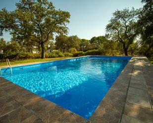 Swimming pool of House or chalet for sale in Badajoz Capital  with Terrace and Swimming Pool