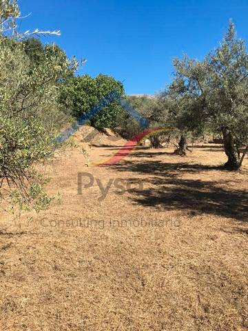 Terreno en Venta en Cuacos de Yuste