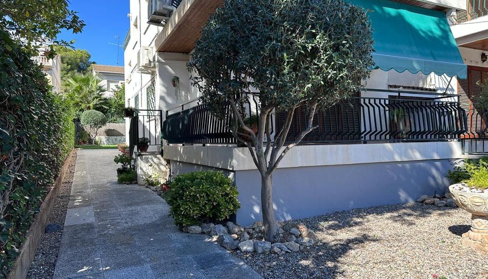 Photo 1 of Planta baja for sale in Segur de Calafell, Tarragona