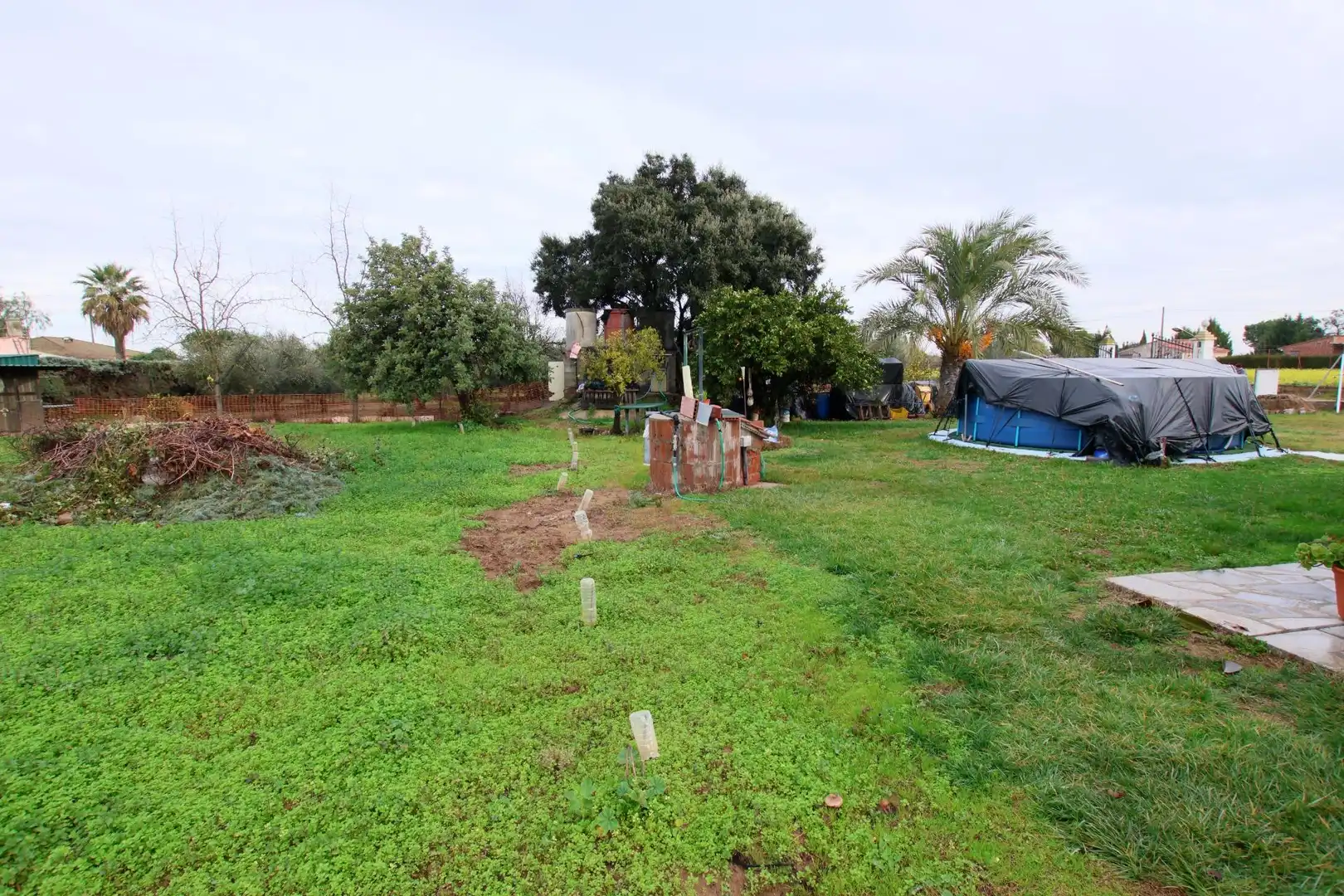 Finca rústica en venta en Montijo