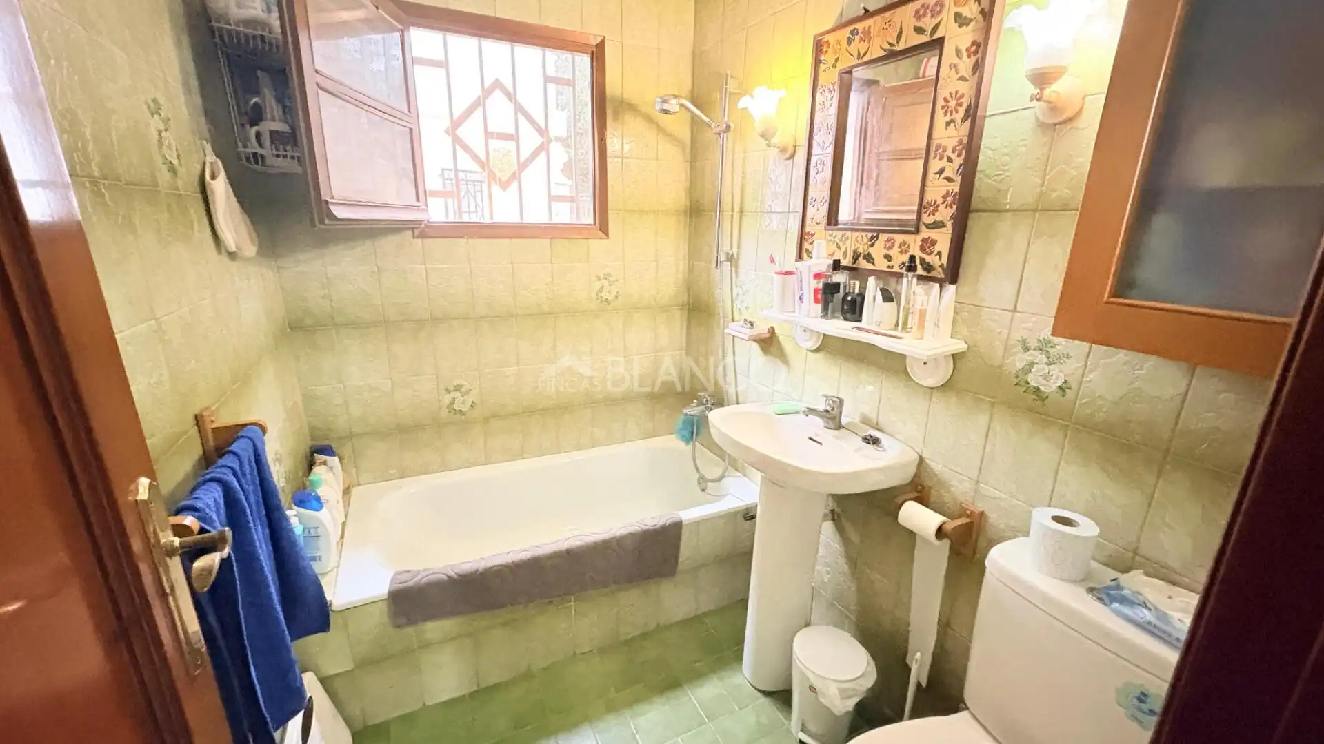 Baño de Casa o chalet en venta en Els Hostalets de Pierola