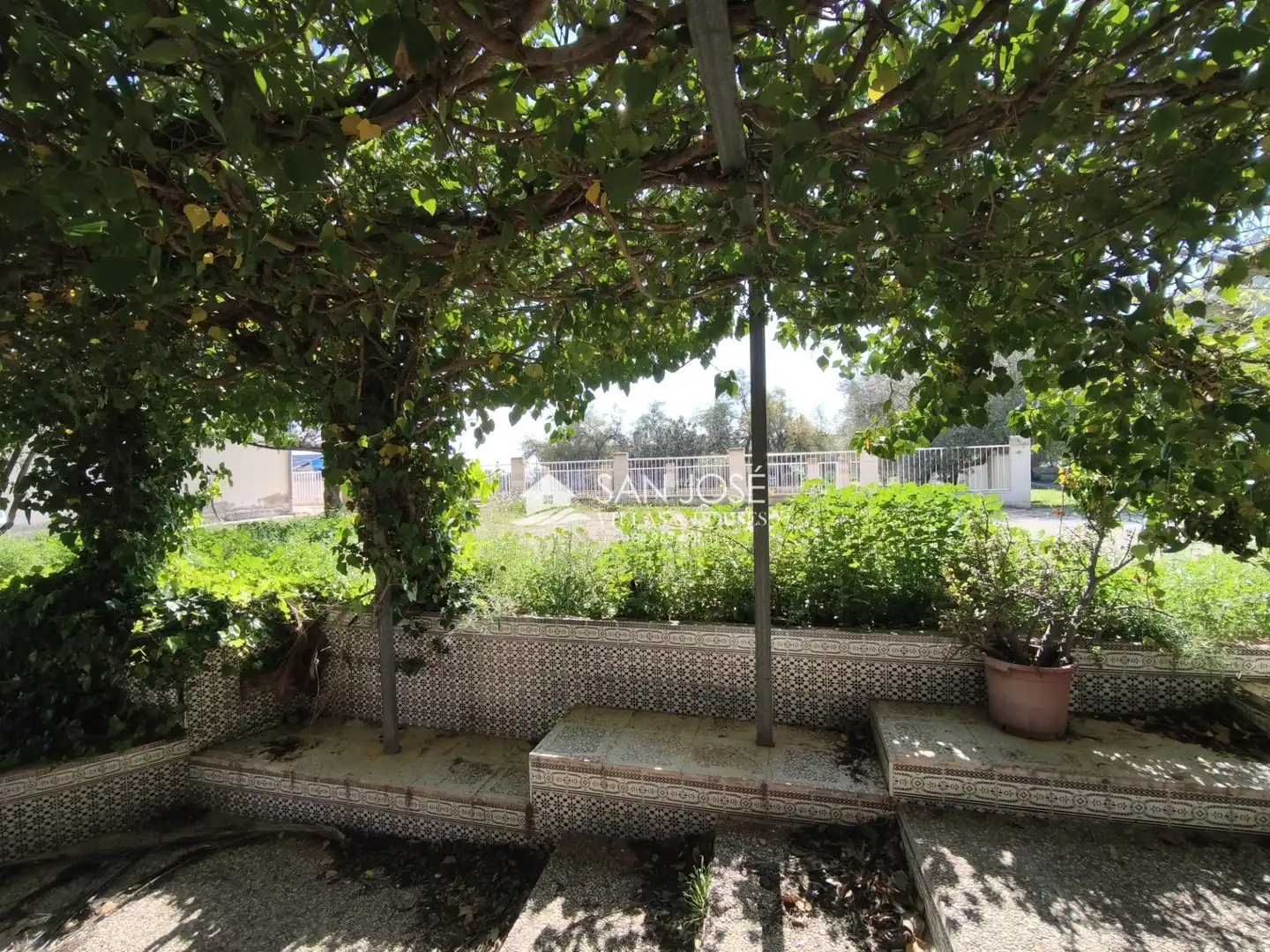 Jardín de Casa o chalet en venta en Aspe con Terraza, Trastero y Piscina