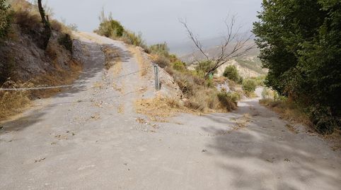 Terreno rústico en venta en Alcolea  4.500 m2 muy cerca del pueblo, immagine 3