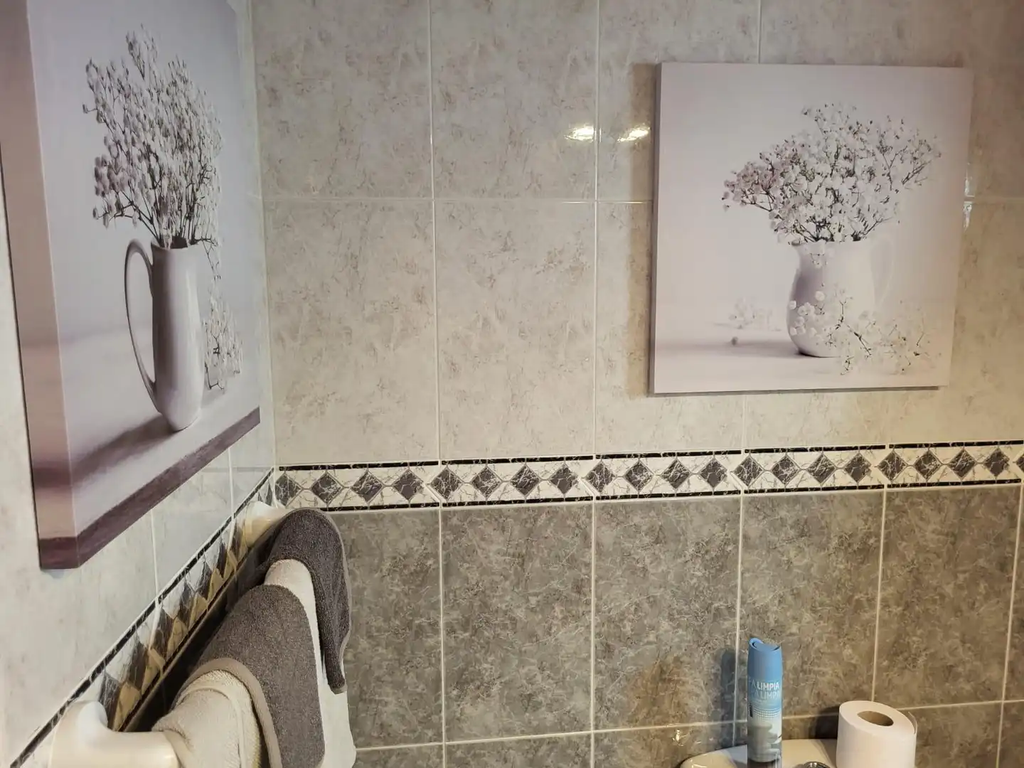 Bany de Apartament en venda en Adeje amb Terrassa i Moblat