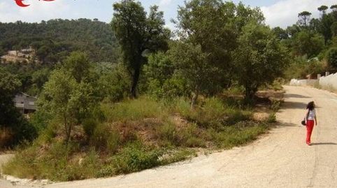 Terreno en Sant Feliu de Buixalleu, imatge 2