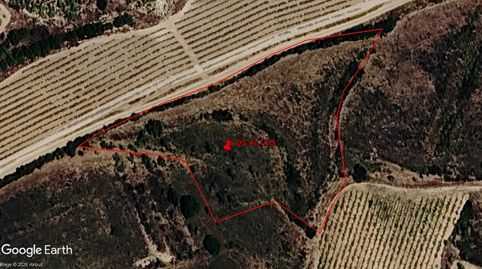 PARCELAS PARA VIÑEDO DE FÁCIL ACCESO, OPCIÓN DE CASA DE APEROS, immagine 2