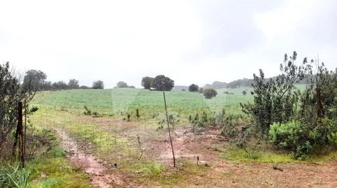 Foto 2 de Casa o chalet en venta en Diseminados Rosquillero, Alburquerque, Badajoz