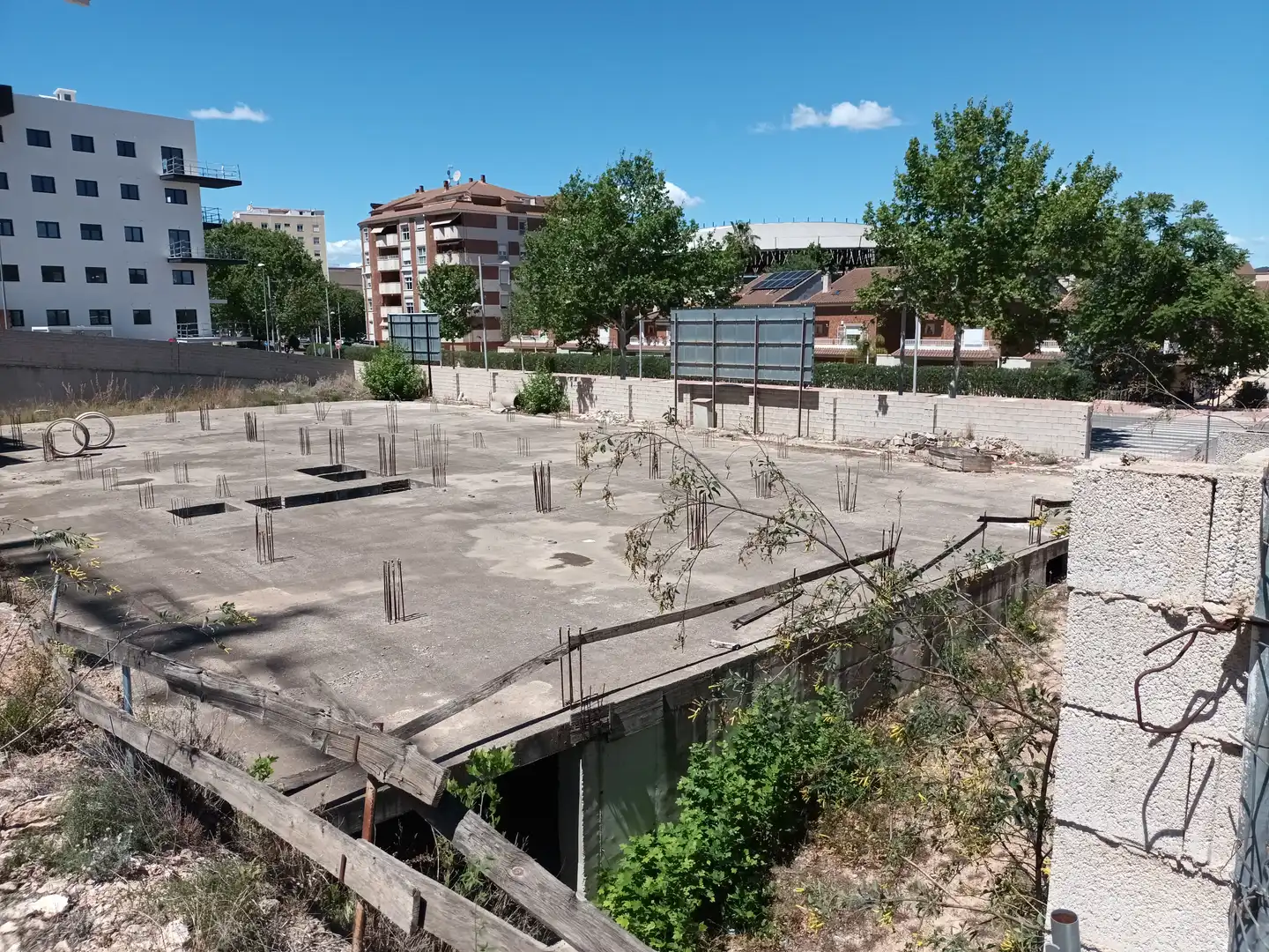 Altri in vendita a PINTOR JUAN FRANCES, imagen 15