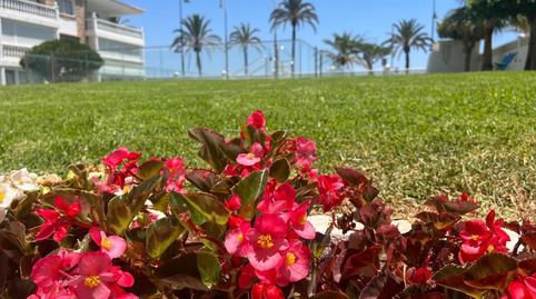 Foto 3 de Planta baixa en venda a Paseo Paseo Marítimo, 53, El Bajondillo, Málaga