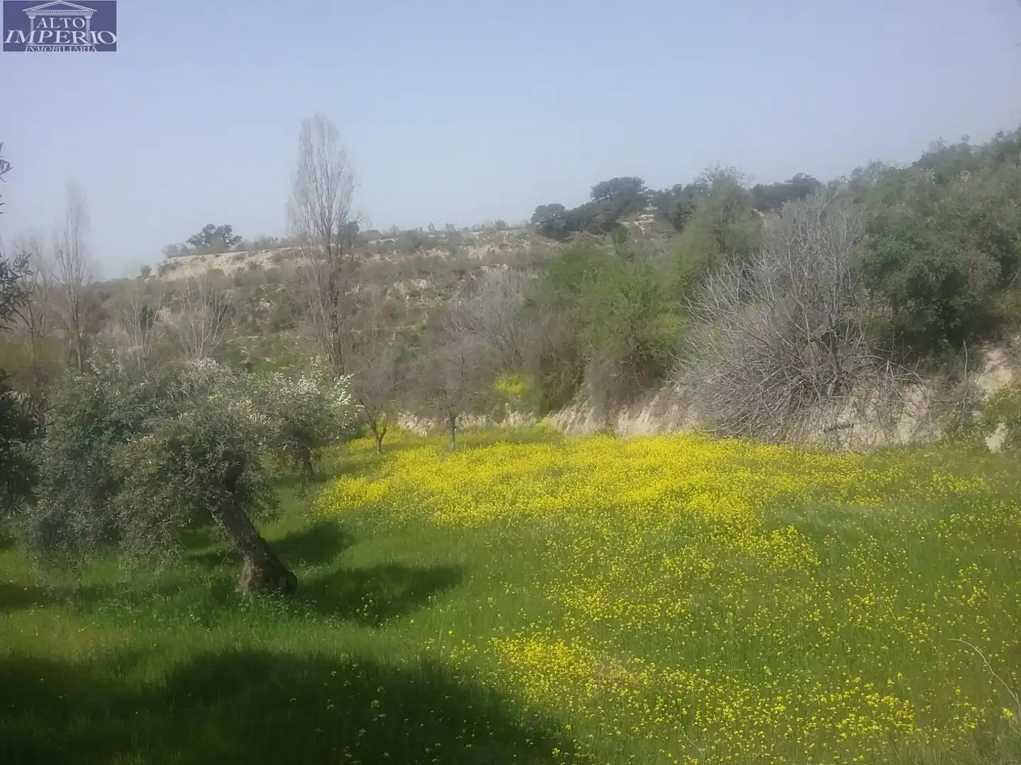 Grundstücke zum Verkauf in Granada