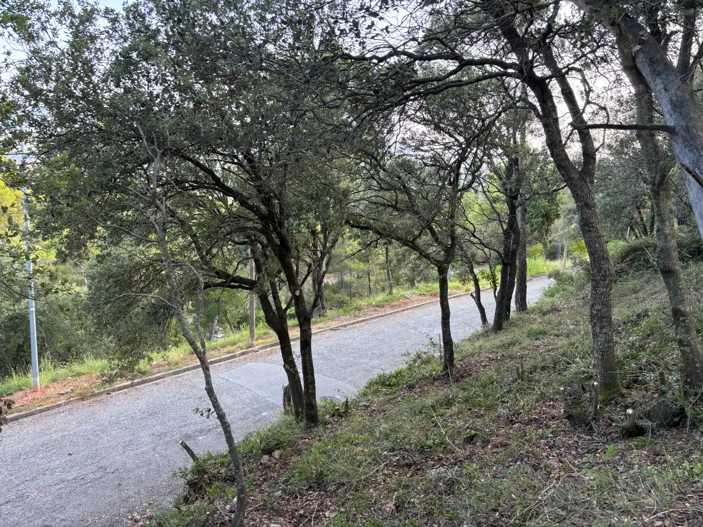 Residential land for sale in Carrer Pasarell, imagen 6