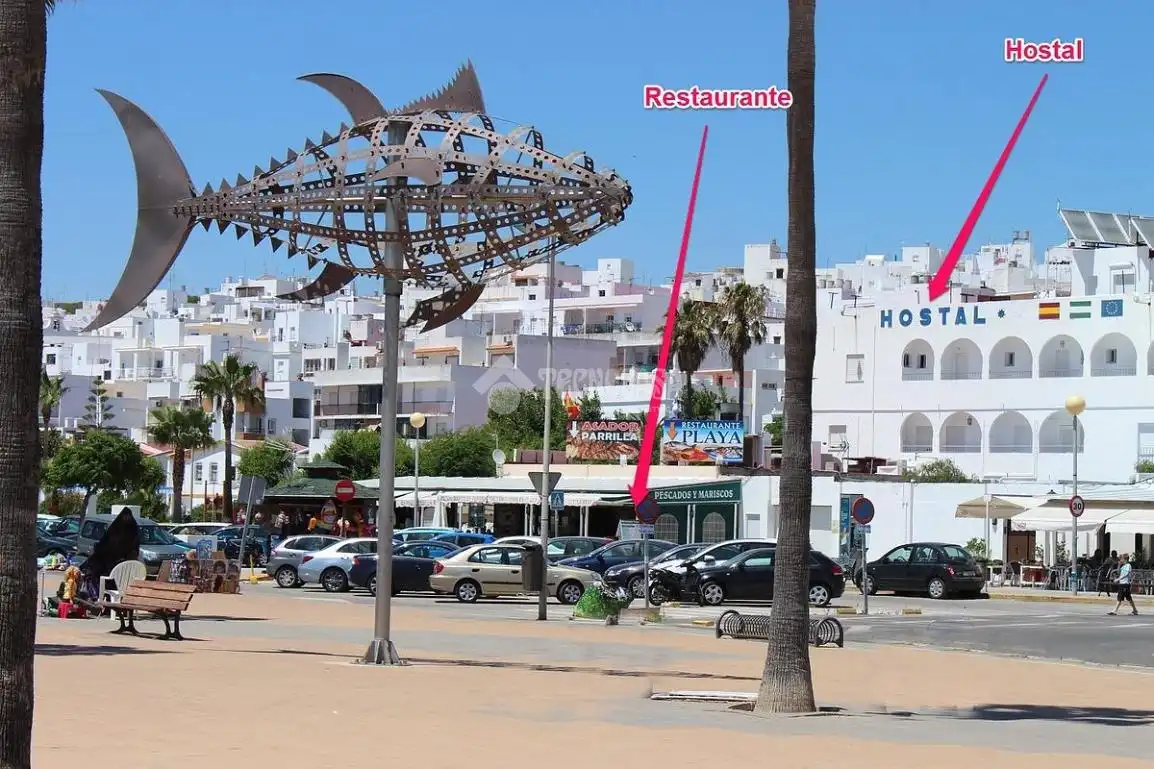 Attique à vendre à Conil, imagen 15